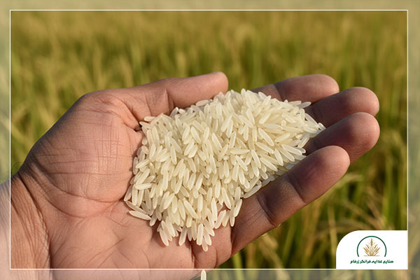 آن چه درباره برنج نمی دانیم