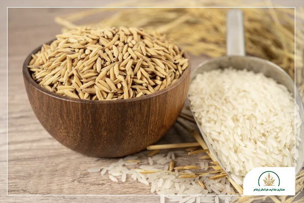 دلایل افزایش قیمت برنج