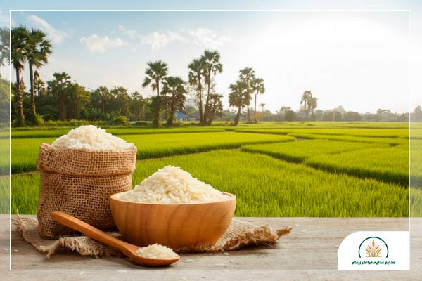برنج تراریخته چیست